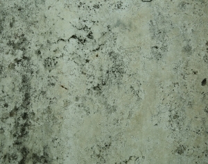 ModernStone Brick Wall