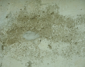 ModernStone Brick Wall