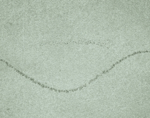 ModernStone Brick Wall