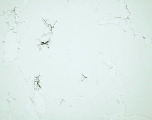 ModernStone Brick Wall