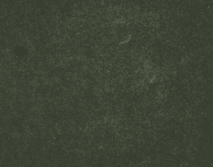 ModernStone Brick Wall