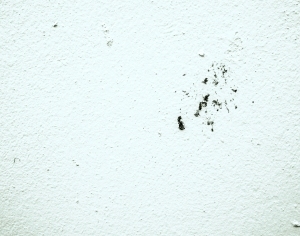 ModernStone Brick Wall