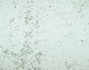 ModernStone Brick Wall