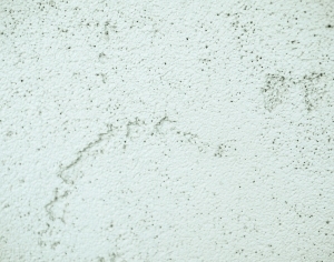 ModernStone Brick Wall