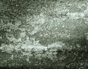 ModernStone Brick Wall