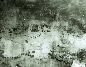 ModernStone Brick Wall