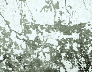 ModernStone Brick Wall