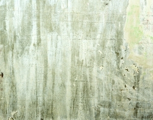 ModernStone Brick Wall