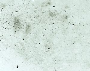 ModernStone Brick Wall