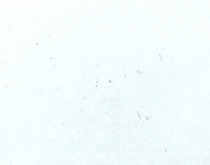 ModernStone Brick Wall