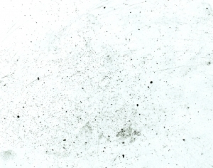 ModernStone Brick Wall