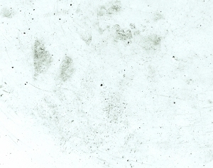 ModernStone Brick Wall