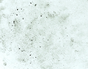 ModernStone Brick Wall