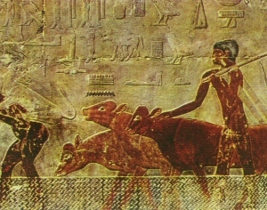 ModernStone Relief
