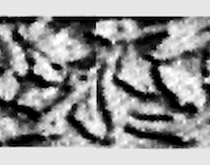 石材浮雕-ID:736720094