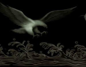 ModernBump Black And White