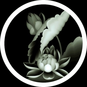 ModernBump Black And White