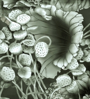 ModernBump Black And White