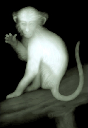 ModernBump Black And White