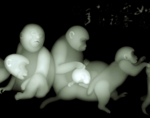 ModernBump Black And White