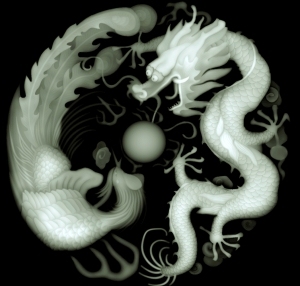 ModernBump Black And White