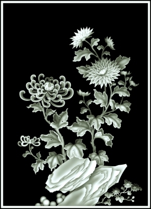 ModernBump Black And White