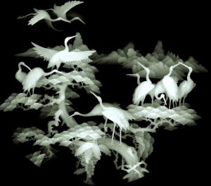 ModernBump Black And White