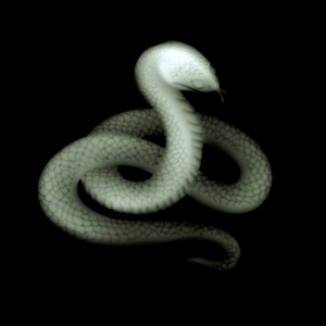 ModernBump Black And White