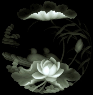 ModernBump Black And White