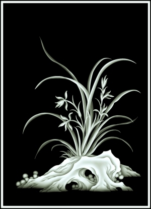 ModernBump Black And White