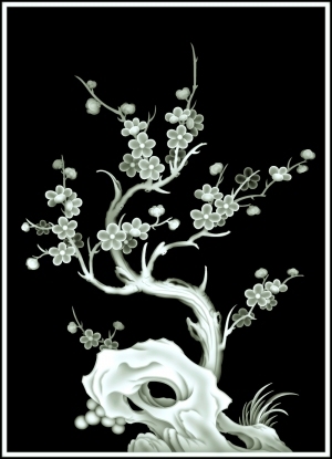 ModernBump Black And White