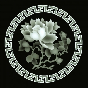 ModernBump Black And White