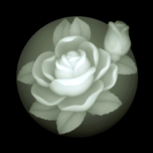 ModernBump Black And White