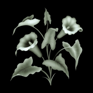 ModernBump Black And White