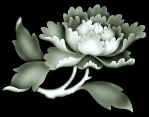 ModernBump Black And White