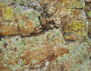 ModernOther Stone Textures