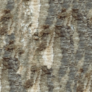 ModernOther Stone Textures