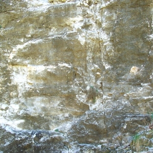 ModernOther Stone Textures