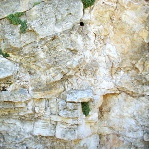 ModernOther Stone Textures