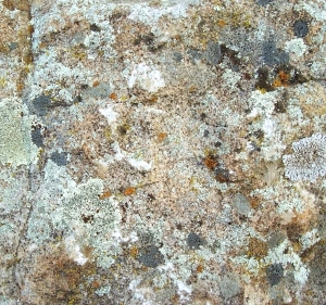 ModernOther Stone Textures