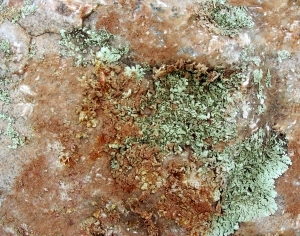 ModernOther Stone Textures