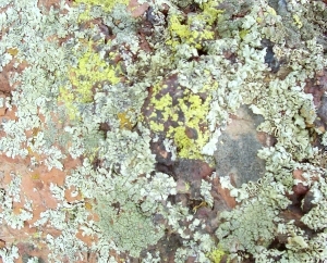 ModernOther Stone Textures