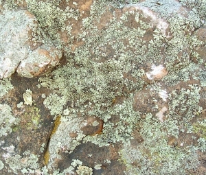 ModernOther Stone Textures