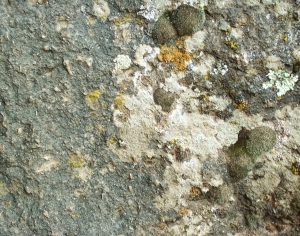 ModernOther Stone Textures