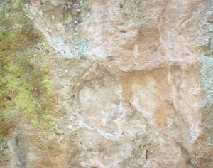 ModernOther Stone Textures