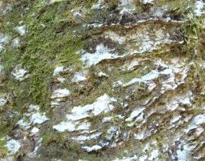 ModernOther Stone Textures