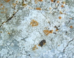 ModernOther Stone Textures