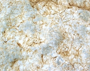 ModernOther Stone Textures