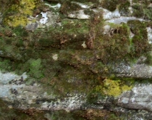 ModernOther Stone Textures