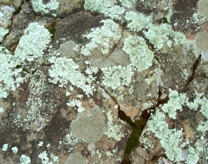 ModernOther Stone Textures